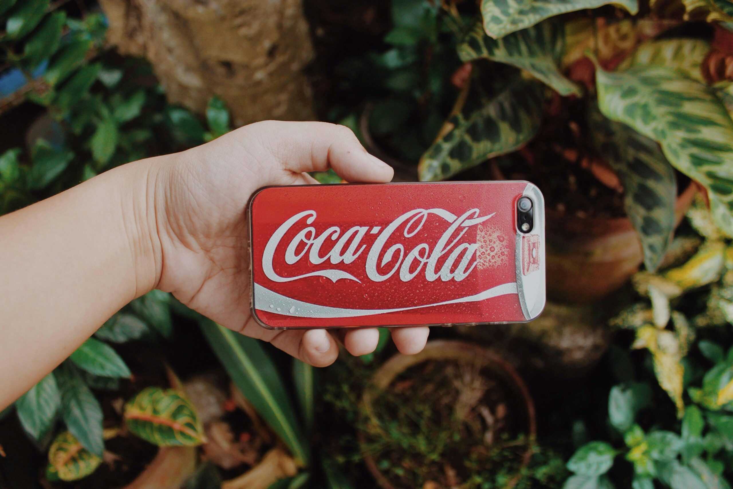 Why Brazilian Cane Sugar Suppliers coca cola scaled