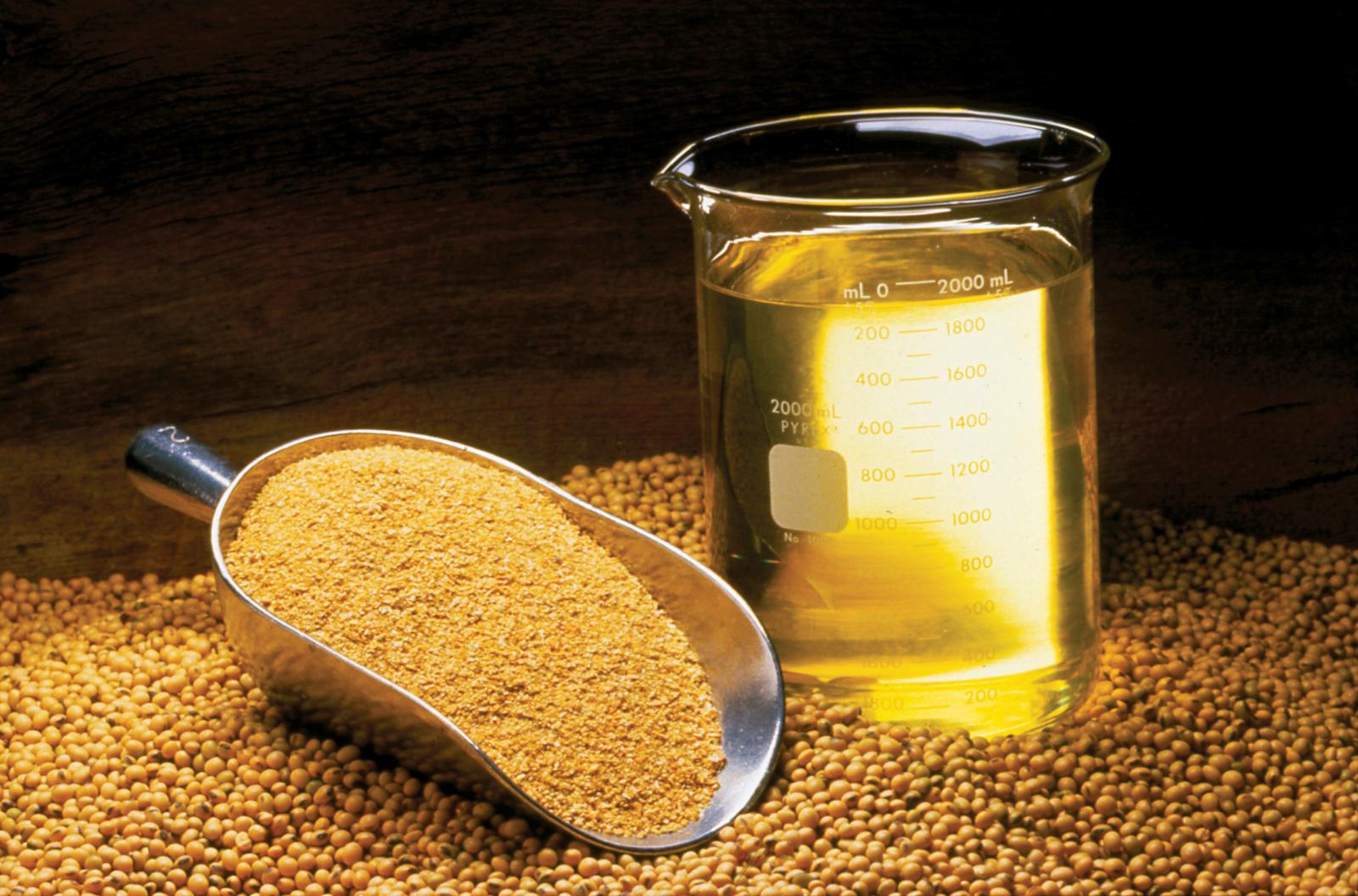 Soybean Meal for Animal Feed The Best Ingredient to Enhance Nutrition