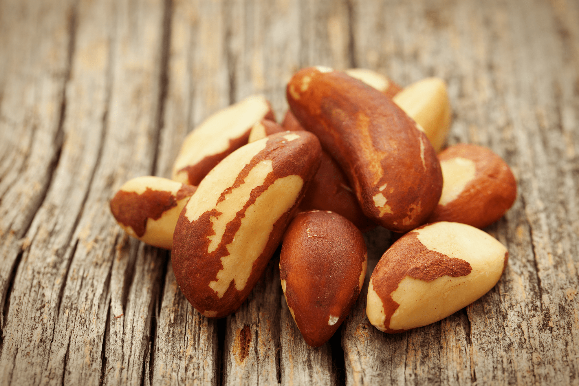 Brazil nuts Fob Price Mello Commodity