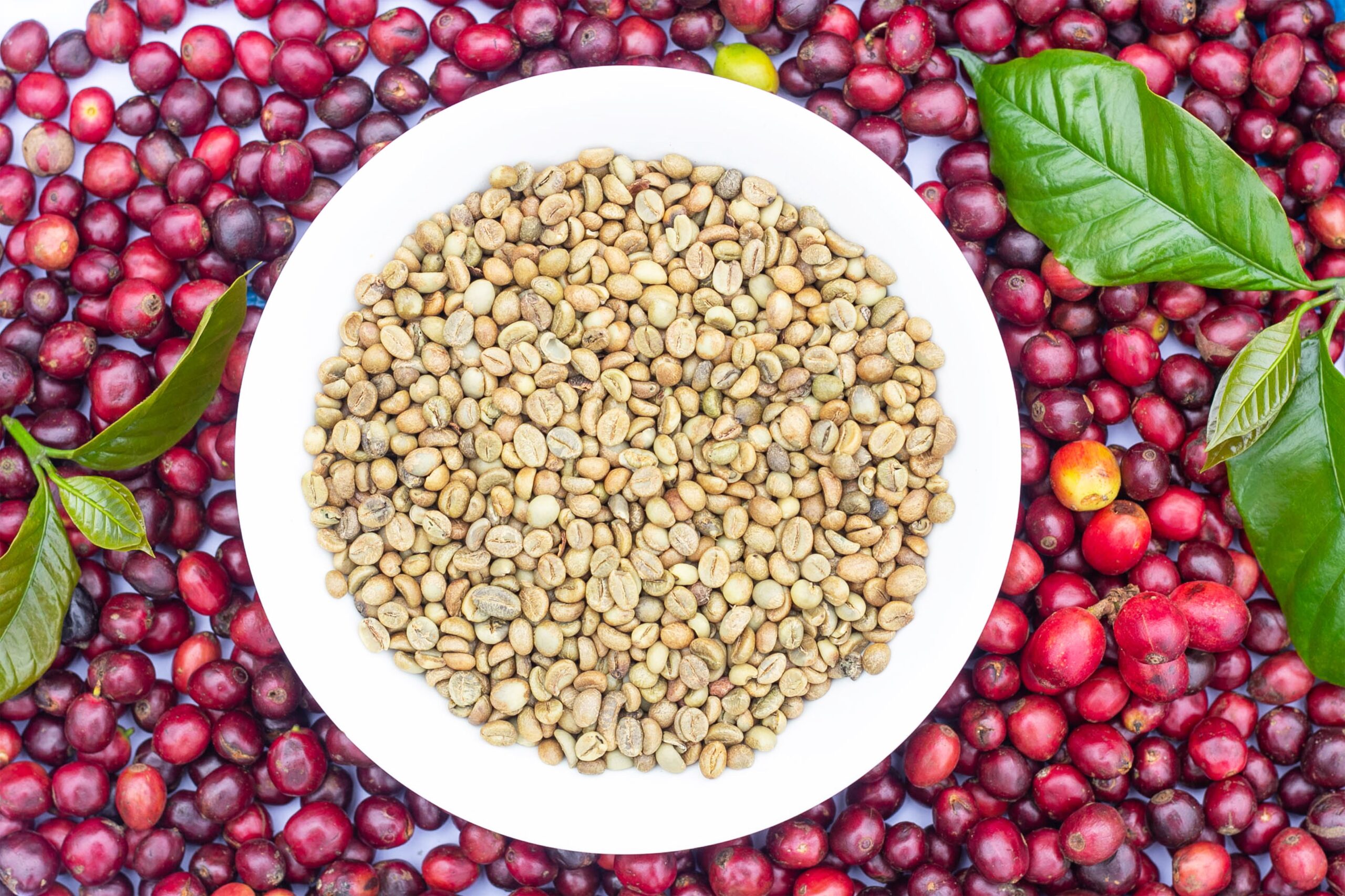 brazilian green coffee beans wholesale Mello Commodity Brazil scaled
