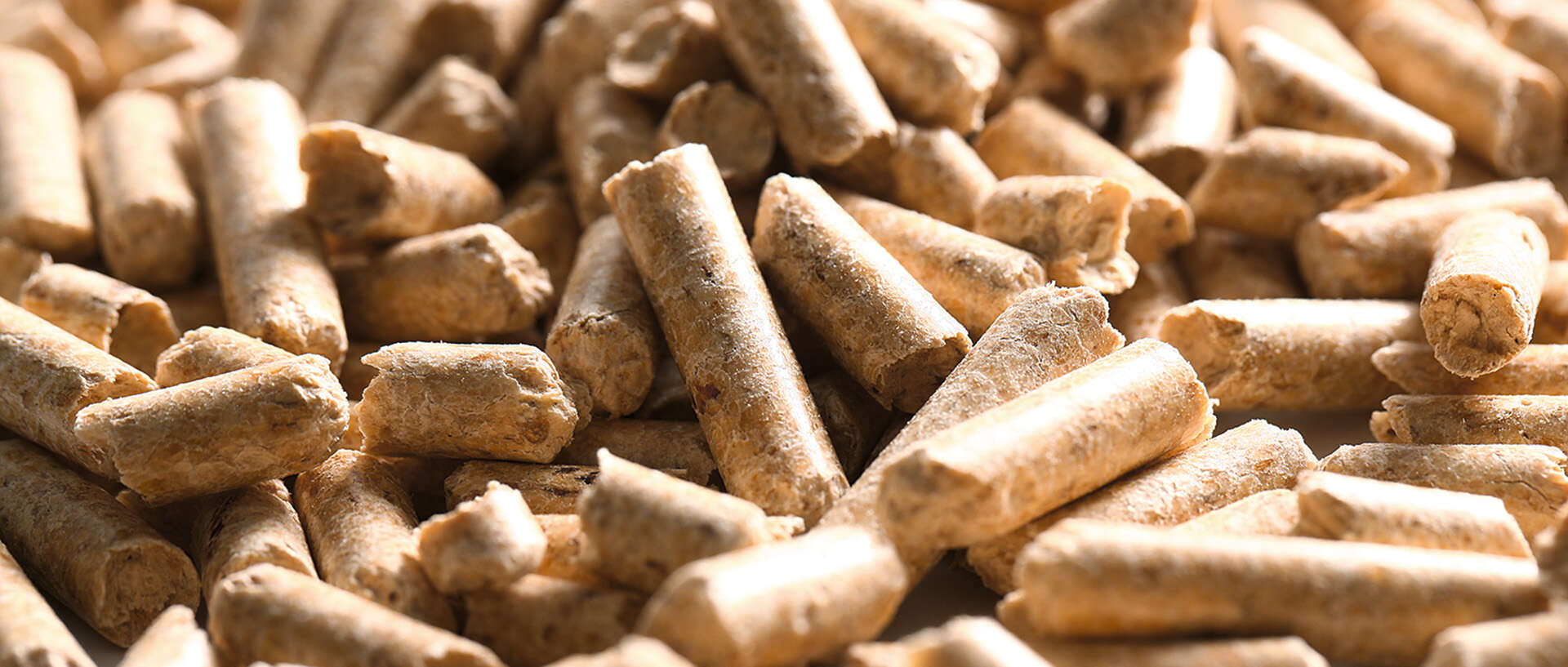 wood pellet exporters Brazil