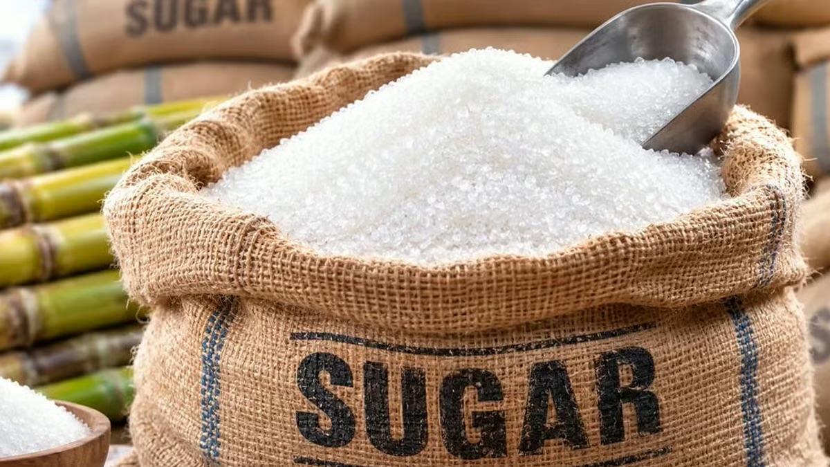 ICUMSA 45 Sugar from Brazil